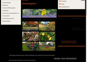 A thumbnail image