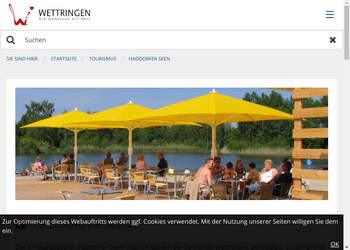 A thumbnail image